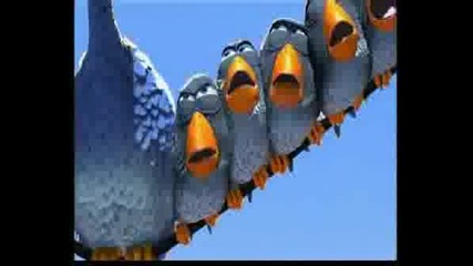 Funny Birds.100 % Smex