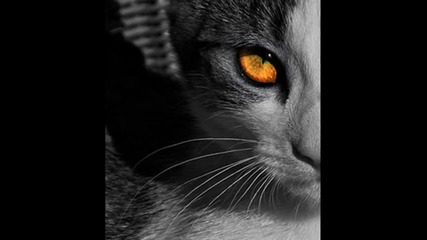 Carrie Skipper - Time goes by (dj Krischan groove chill mix) 