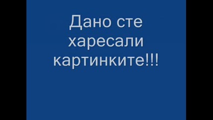 Във всеки офис има... - базик с животни