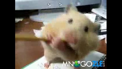 Многоооо лаком