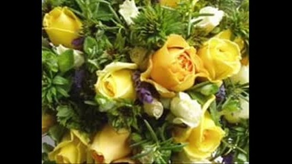 Rosas 