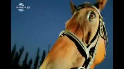 Валя - Знам - Официално видео