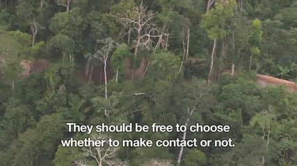 Отделено от цивилизацията Амазонско племе: Първия кадри от въздуха - Bbc