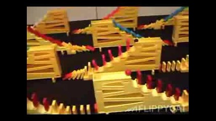 izpulneniq s domino 24 