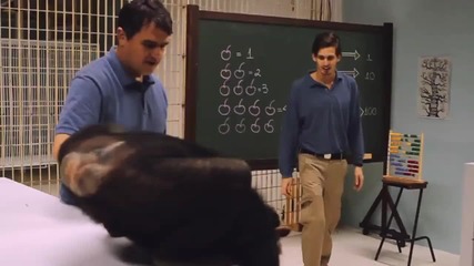 The Monkeys 3d Reunion 