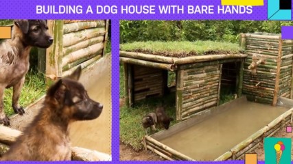 The work this handmade bamboo dog house takes is pure love