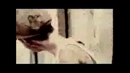 Blindside - Fell In Love With The Game
