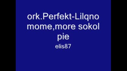 ork.perfekt - Lilqno mome,  more sokol pie