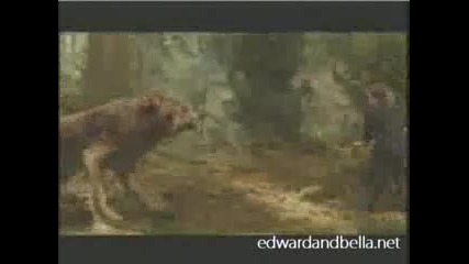 New Moon Tv Spot 4 - devotion 
