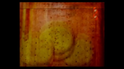 Грозното патенце и аз-нападението (close Encounters Of The Bird Days),бг аудио