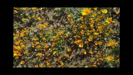 Bbc Hd - The Amazing World (hq) - свят - Високо качество