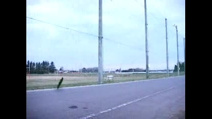 Eто това се нарича Смях!!