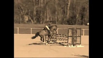 Equestrian - Why we ride