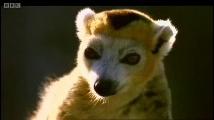 Does the planet need saving - Earth - The Power of the Planet - Bbc 