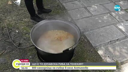 Самодейци режат лук през сълзи и готвят риба на тенекия в Антимово