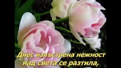 Честит празник - Цветница !!!