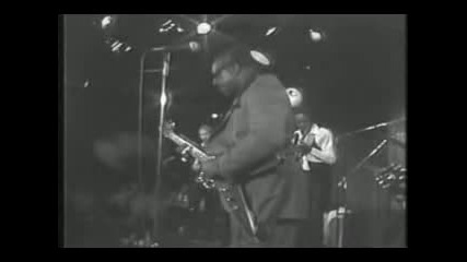 Albert King , The Grass Aintt No Greener