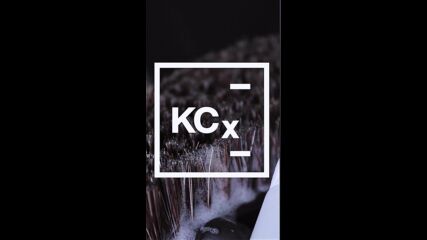 Koch Chemie - Pol Star -препарат за деликатно и качествено почистване на кожа, алкантара и тексти