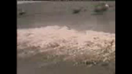 Fast Ride