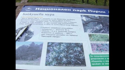 Байкушева мура - текст и музика Димитър Янев