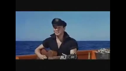 Elvis Presley-song Of The Shrimp