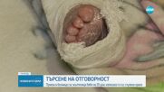 Приеха в болница новородено с жълтеница, изписаха го със счупен крак