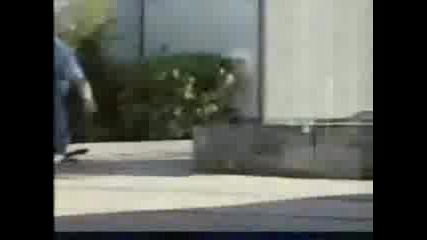 Rodney Mullen Skate !!