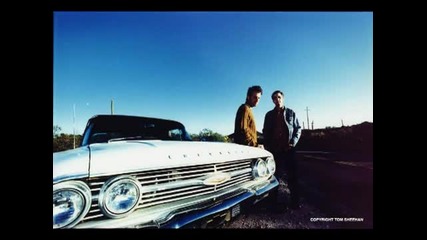 Calexico - Beautiful Fucking Day