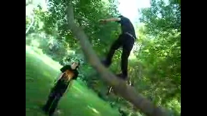 joey looks like a bird caw caw