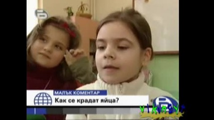 Малък Коментар - Как Се Крадат Яйца? - 10.03.2009