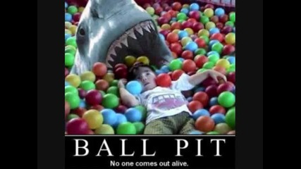 funny picture slideshow -