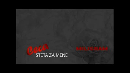 Ceca 2011 - Steta za Mene