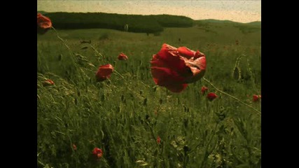 За Тебwmv 