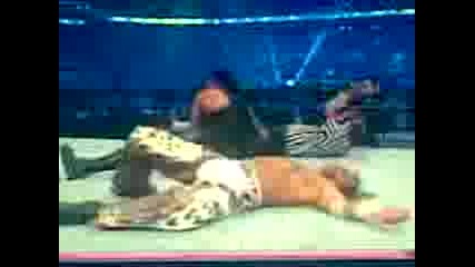 undertaker vs shon maikals wreslemania 25