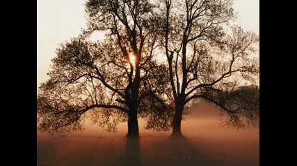 Loreena Mckennitt - Celtic Twilight