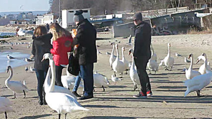 Varna - Black Sea Coast today 018