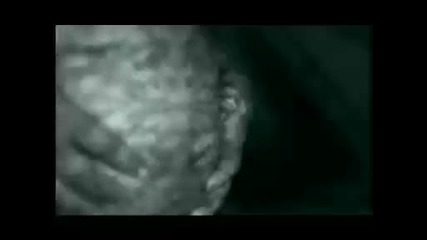 Crematory - Revolution