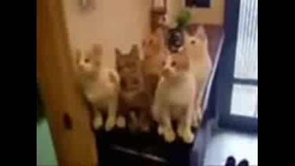 Клипче с незабравими моменти 
