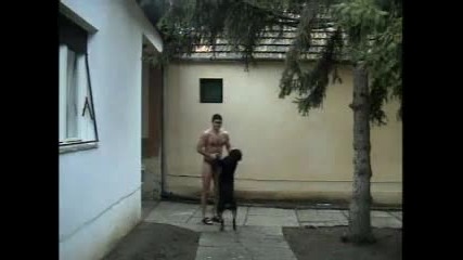 Extremely funny morning aerobic with rottweiler 