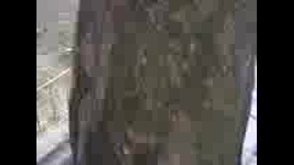 Milko 4.mp4