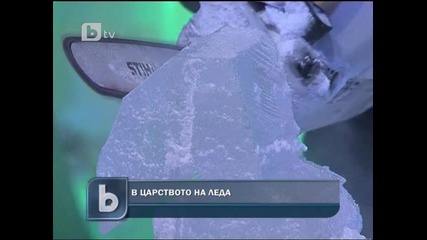 Суперзвезди от лед 