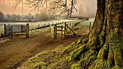 Celtic Dawn - A Celtic Morning Album