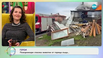Пожарникари спасиха животни от горяща къща - „На кафе“ (24.12.2025)