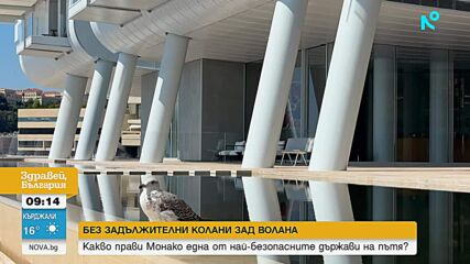 Монако – държавата без задължителни колани, но с едни от най-строгите наказания за шофьорите