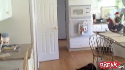 Kid in Box Gets Owned Face First