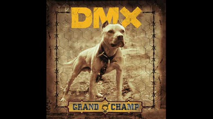 Dmx - Dogs out
