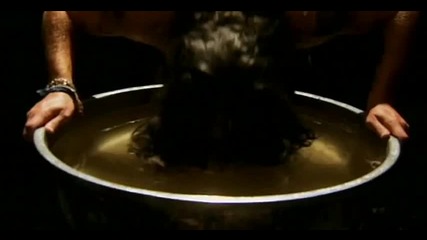 Kings Of Leon - Sex On Fire Official Video [hd]