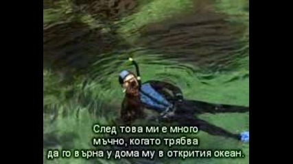 The Living Sea / Живото море (1995) , bg sub 