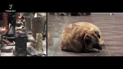 Antonis Remos - Ta Savvata Official Music Video Clip Hd [new]