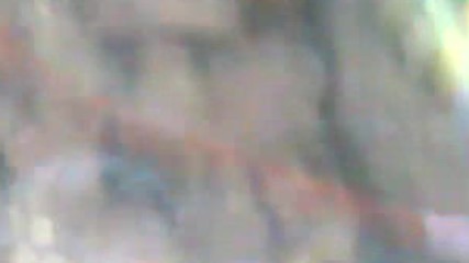 Semenderler Nasil Yasar Bi Ogrenelim Bklm 2017 Hd